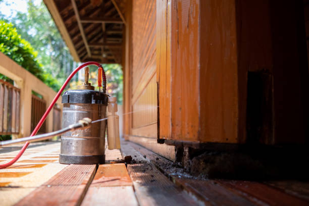 Pest Control Cost in Tiburon, CA
