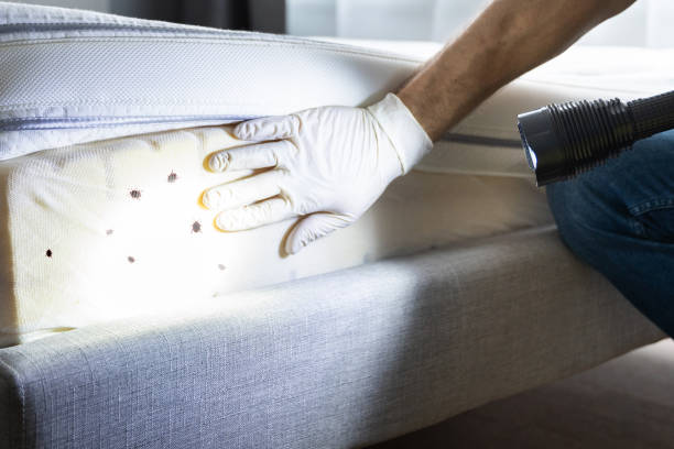 Best Pest Control for Restaurants  in Tiburon, CA