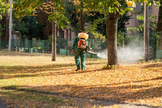 Best Best Pest Control Companies  in Tiburon, CA