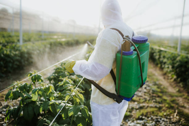Best Affordable Pest Control Services  in Tiburon, CA